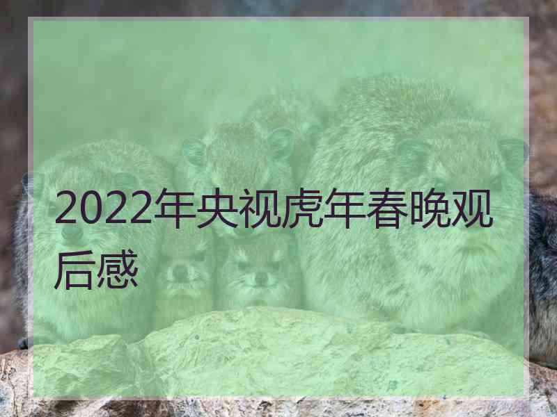 2022年央视虎年春晚观后感