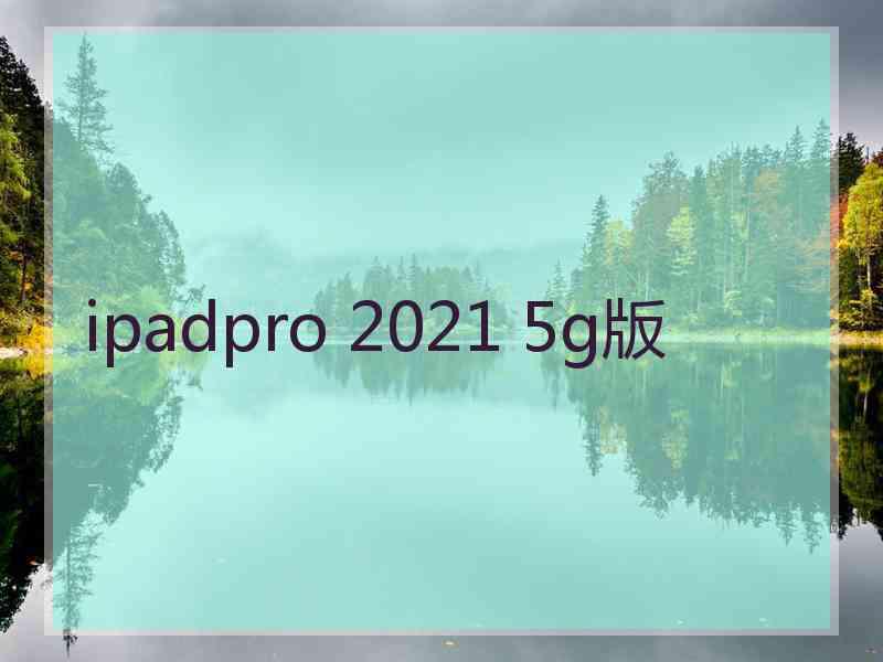 ipadpro 2021 5g版