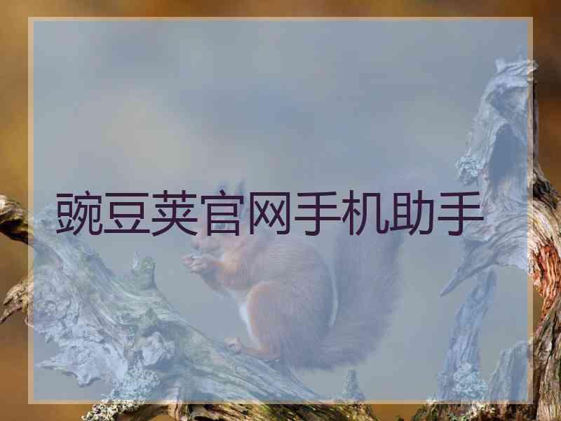 豌豆荚官网手机助手