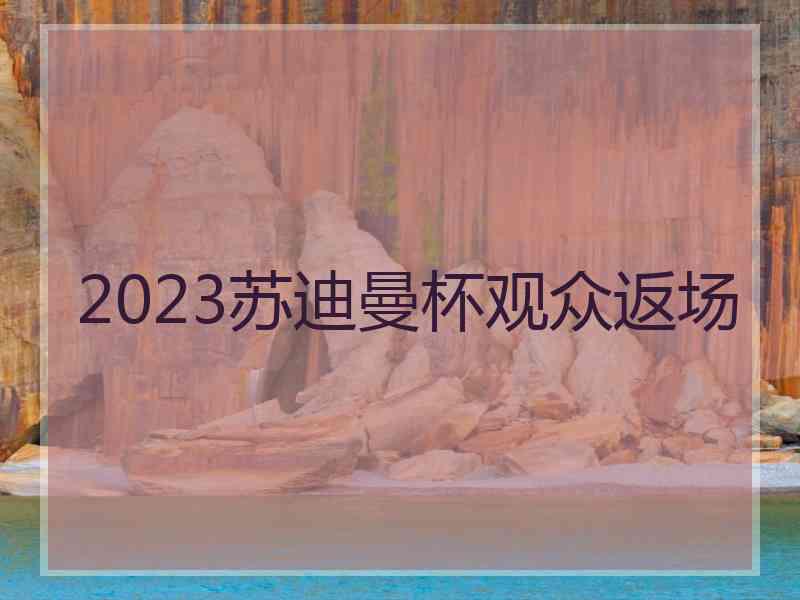 2023苏迪曼杯观众返场