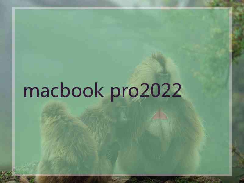 macbook pro2022