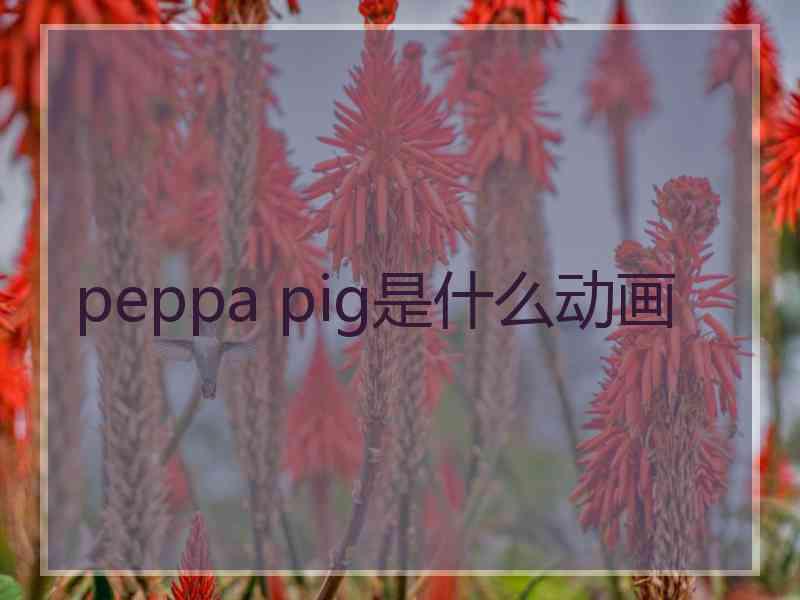 peppa pig是什么动画