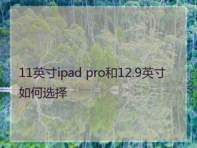 11英寸ipad pro和12.9英寸如何选择