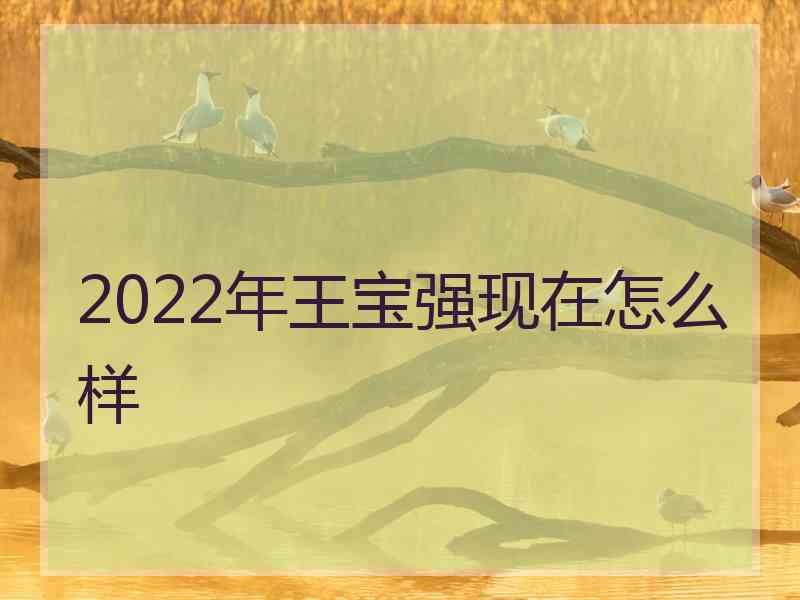 2022年王宝强现在怎么样