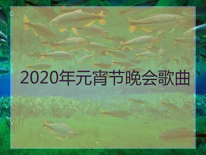 2020年元宵节晚会歌曲