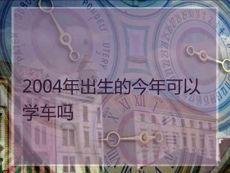 2004年出生的今年可以学车吗