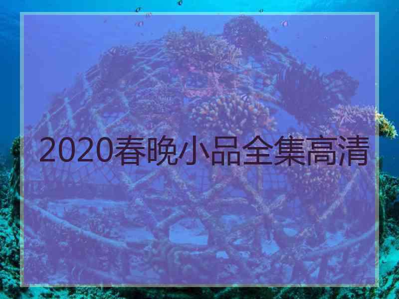 2020春晚小品全集高清