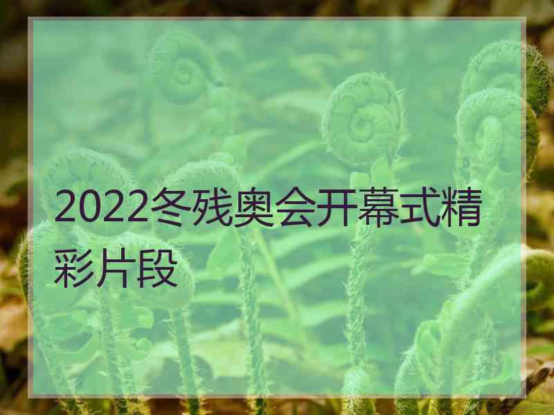 2022冬残奥会开幕式精彩片段