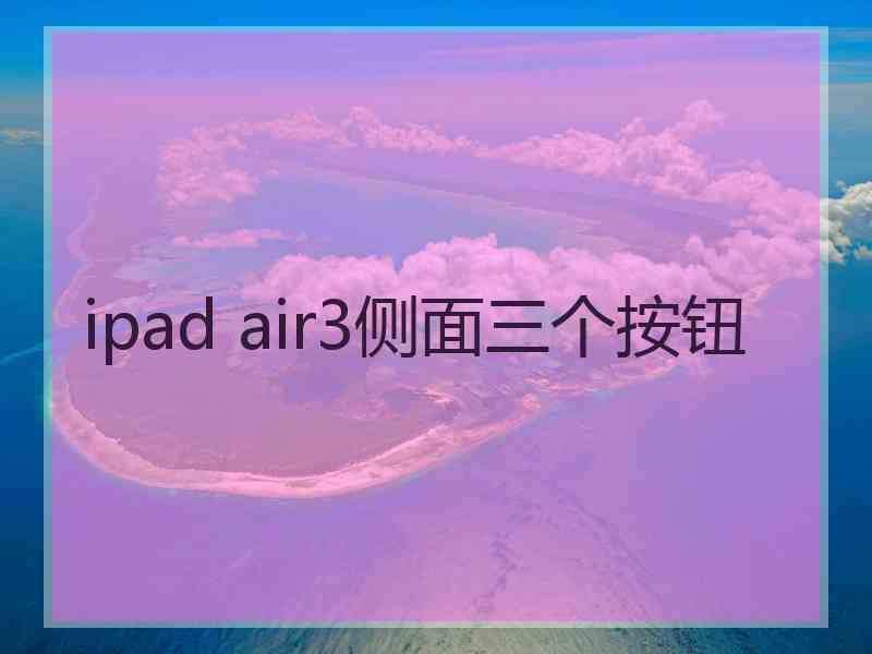 ipad air3侧面三个按钮