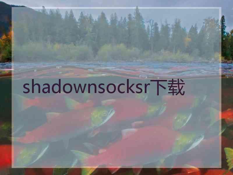 shadownsocksr下载