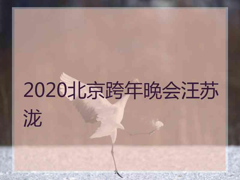 2020北京跨年晚会汪苏泷