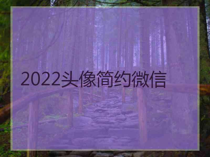 2022头像简约微信