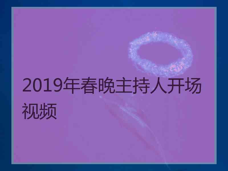 2019年春晚主持人开场视频