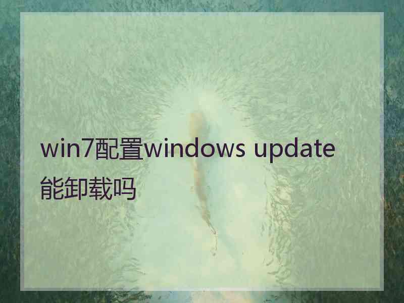 win7配置windows update能卸载吗