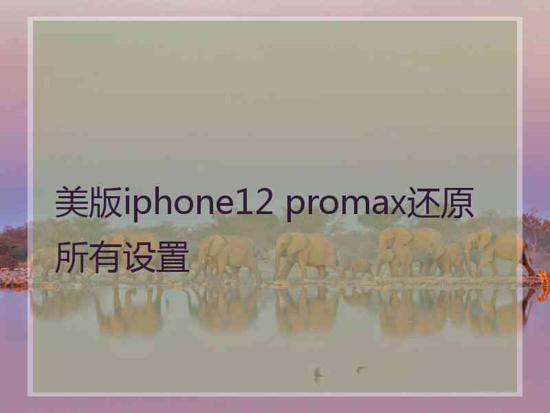 美版iphone12 promax还原所有设置