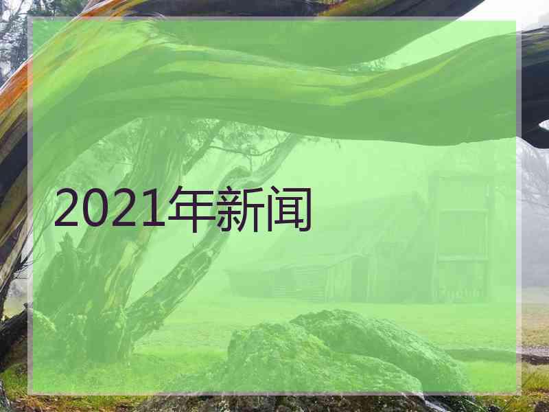 2021年新闻