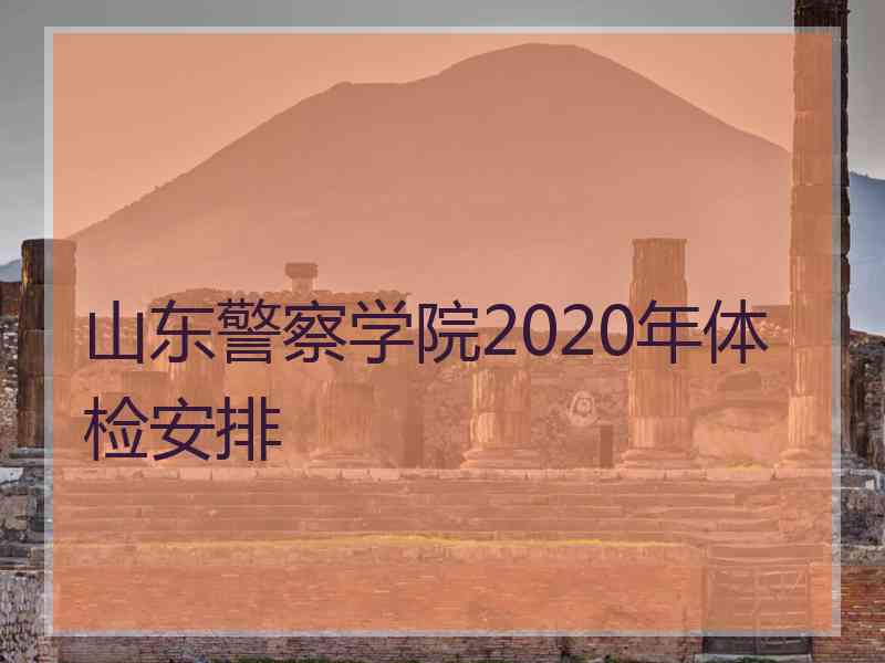 山东警察学院2020年体检安排