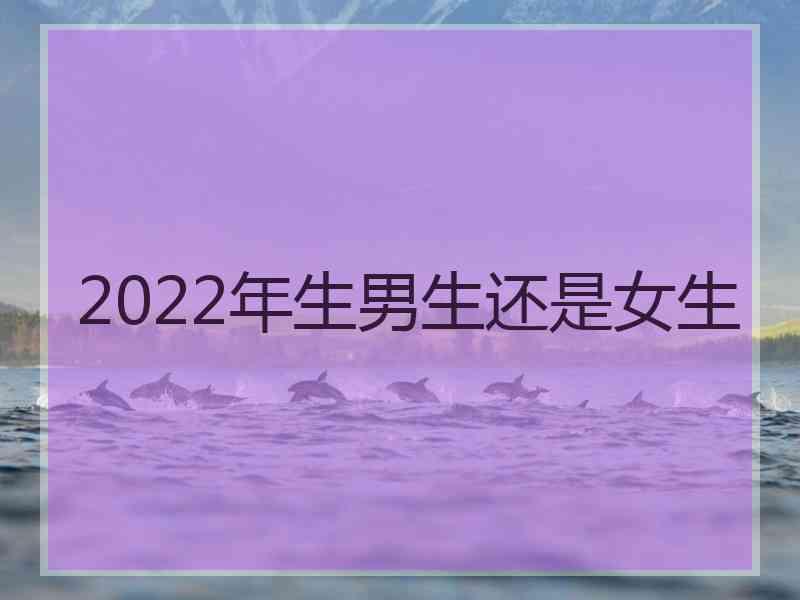 2022年生男生还是女生