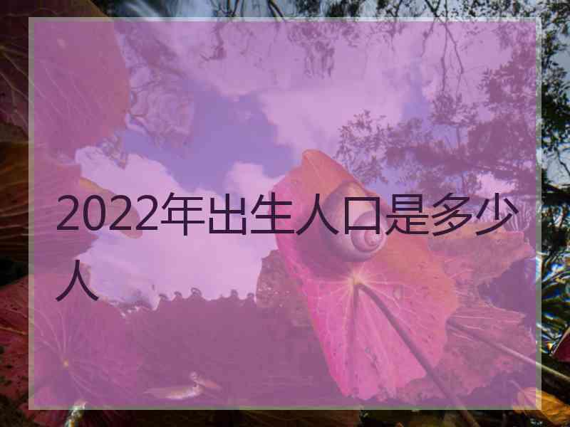 2022年出生人口是多少人