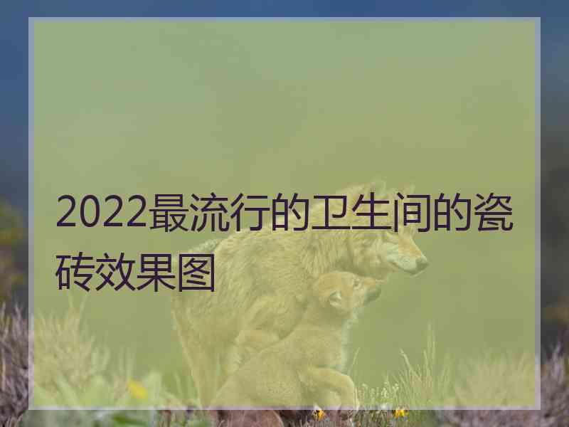 2022最流行的卫生间的瓷砖效果图