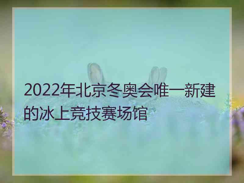 2022年北京冬奥会唯一新建的冰上竞技赛场馆