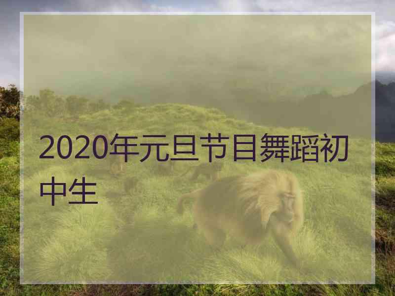 2020年元旦节目舞蹈初中生