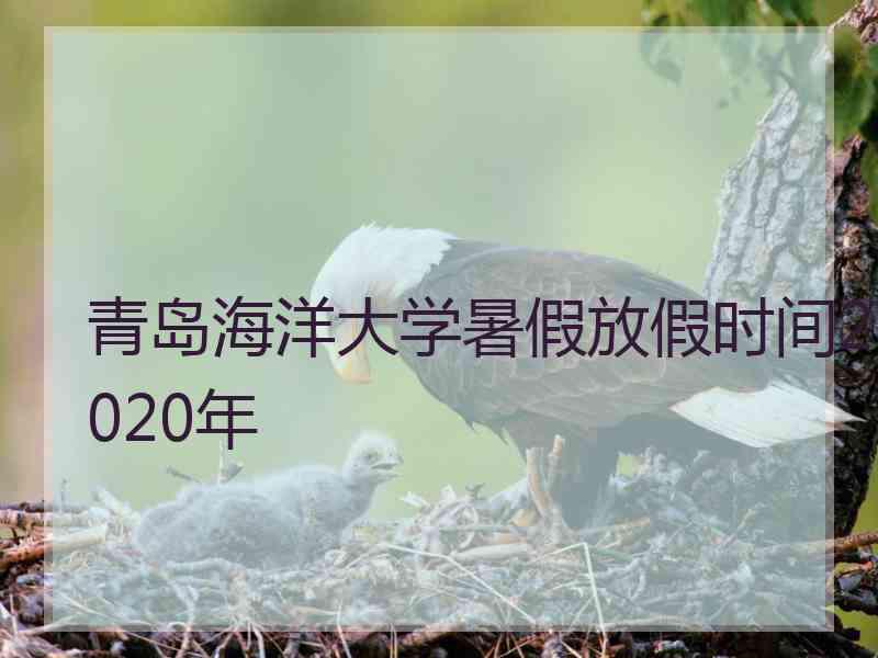 青岛海洋大学暑假放假时间2020年