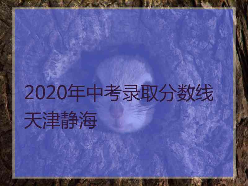 2020年中考录取分数线天津静海