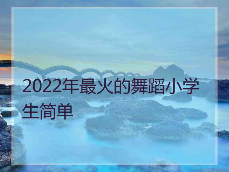 2022年最火的舞蹈小学生简单