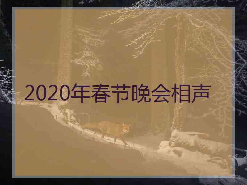 2020年春节晚会相声