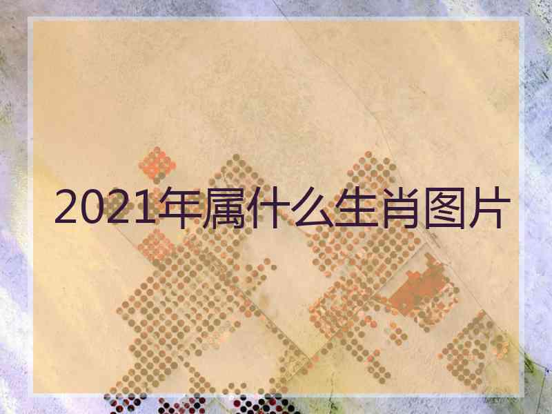 2021年属什么生肖图片