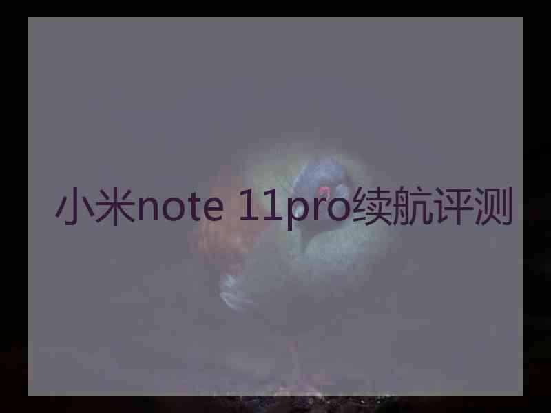 小米note 11pro续航评测