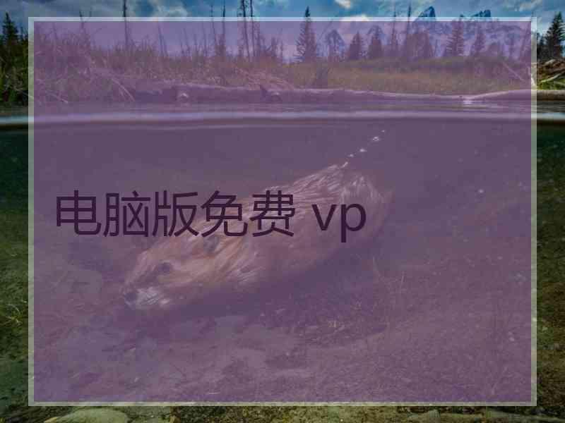 电脑版免费 vp