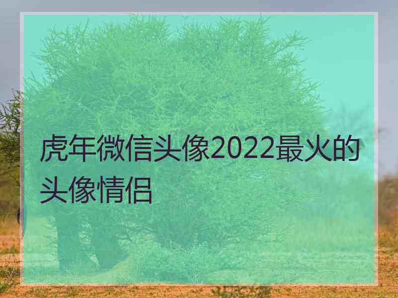 虎年微信头像2022最火的头像情侣