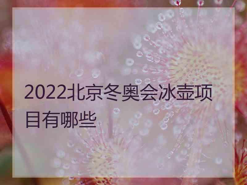 2022北京冬奥会冰壶项目有哪些