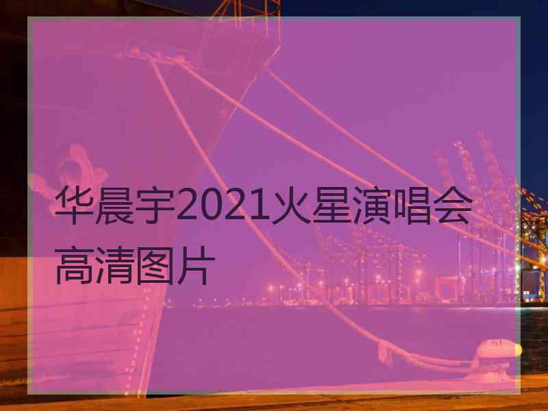 华晨宇2021火星演唱会高清图片