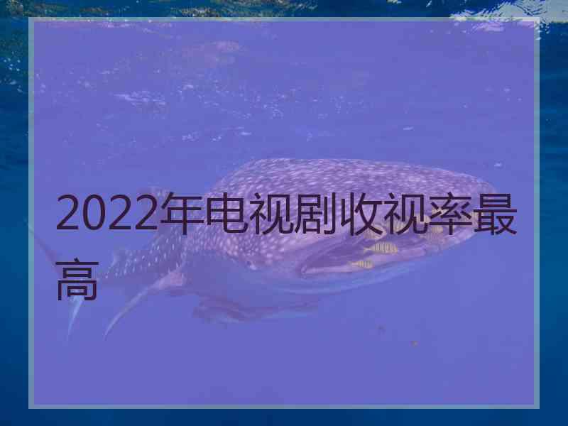 2022年电视剧收视率最高