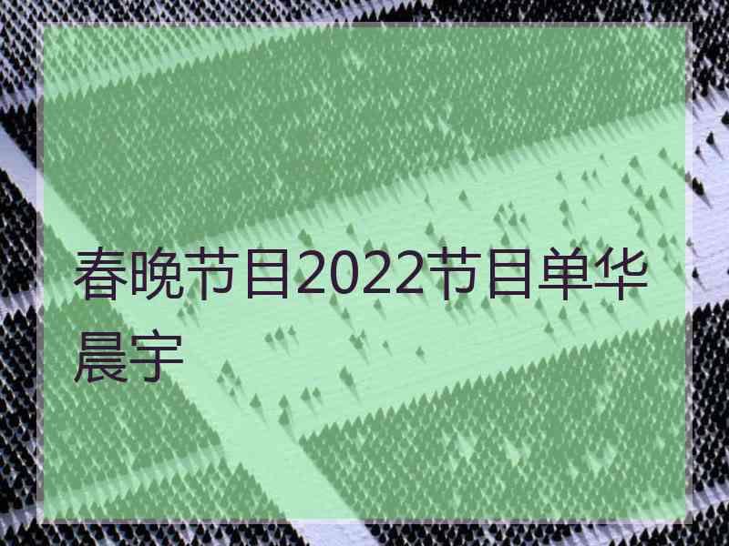 春晚节目2022节目单华晨宇