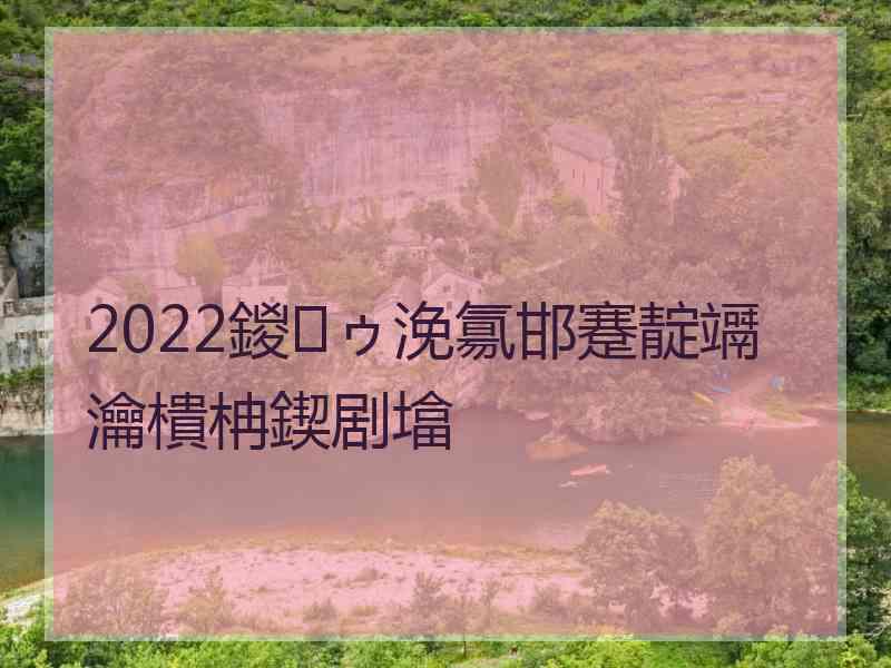 2022鍐ゥ浼氱邯蹇靛竵瀹樻柟鍥剧墖