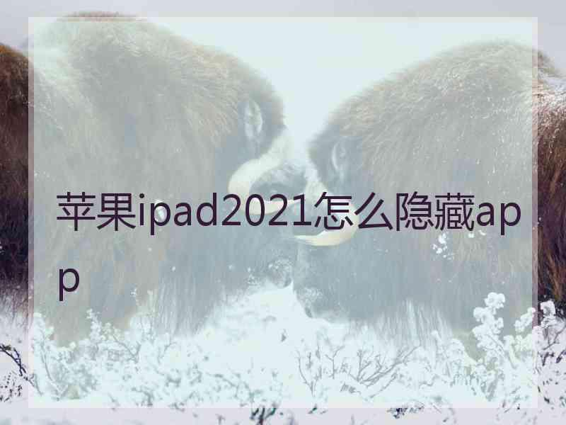 苹果ipad2021怎么隐藏app