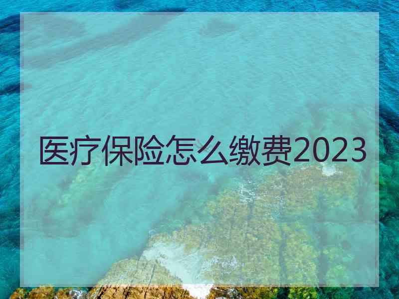 医疗保险怎么缴费2023