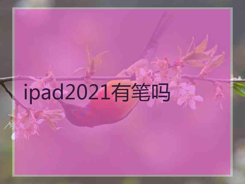 ipad2021有笔吗