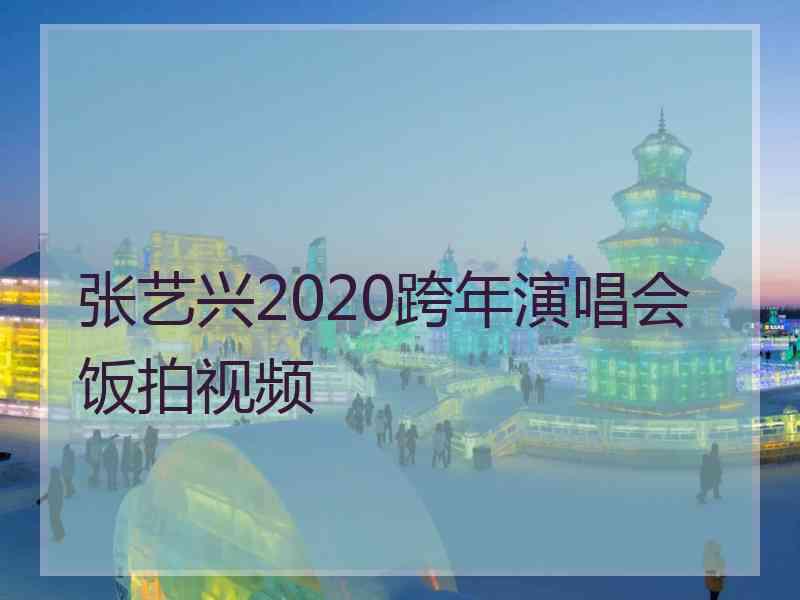 张艺兴2020跨年演唱会饭拍视频