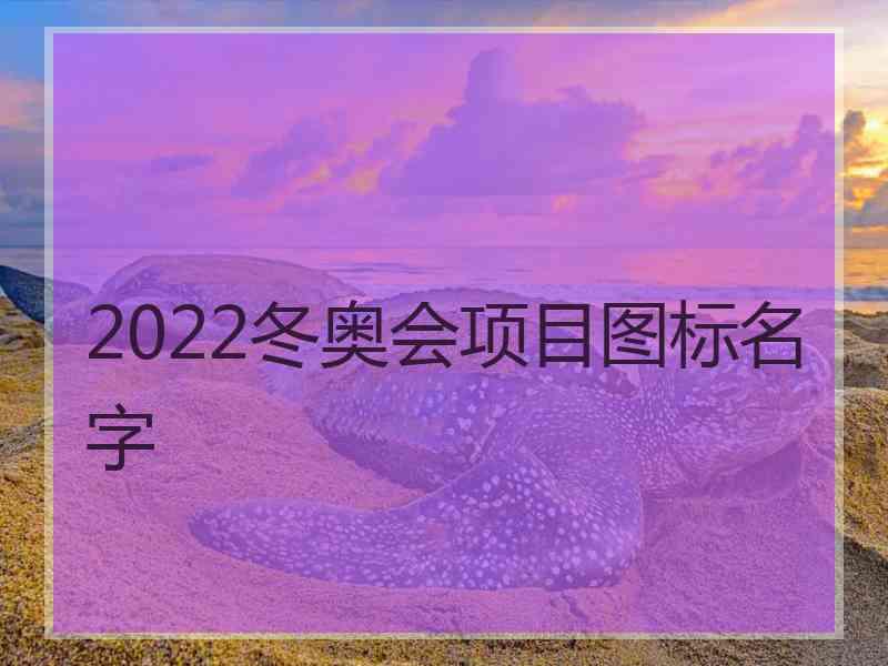 2022冬奥会项目图标名字