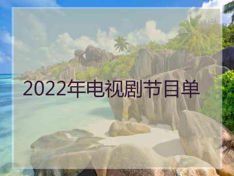 2022年电视剧节目单