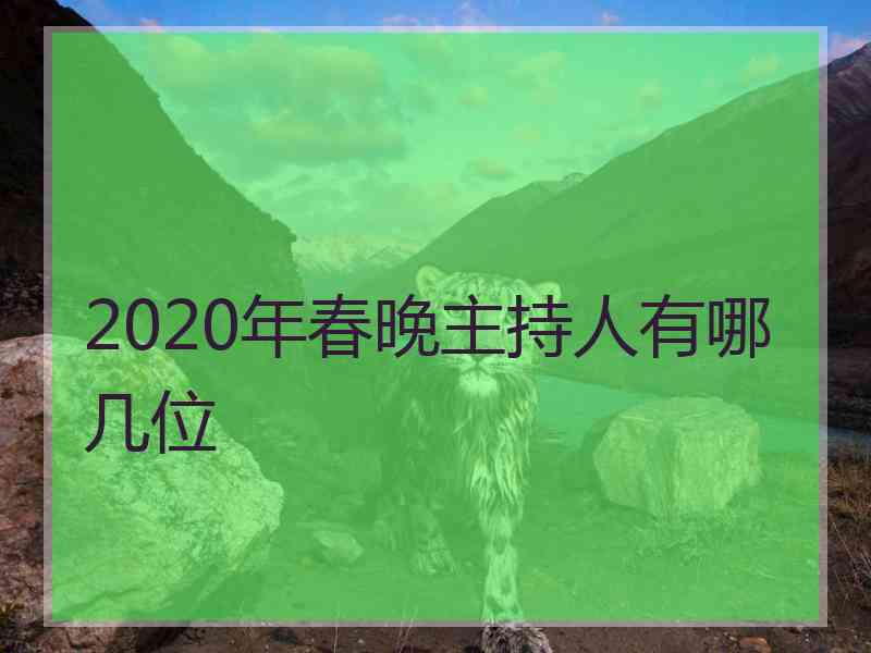 2020年春晚主持人有哪几位