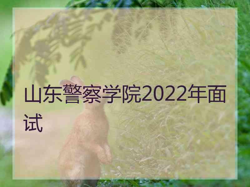 山东警察学院2022年面试