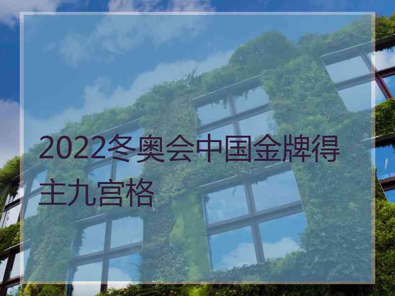 2022冬奥会中国金牌得主九宫格