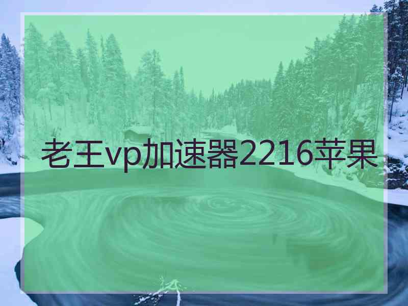 老王vp加速器2216苹果