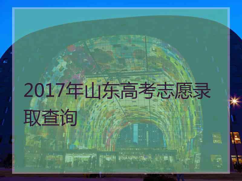 2017年山东高考志愿录取查询